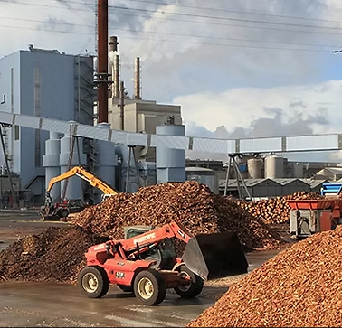 GreenFuel Biomass Plant – Punjab